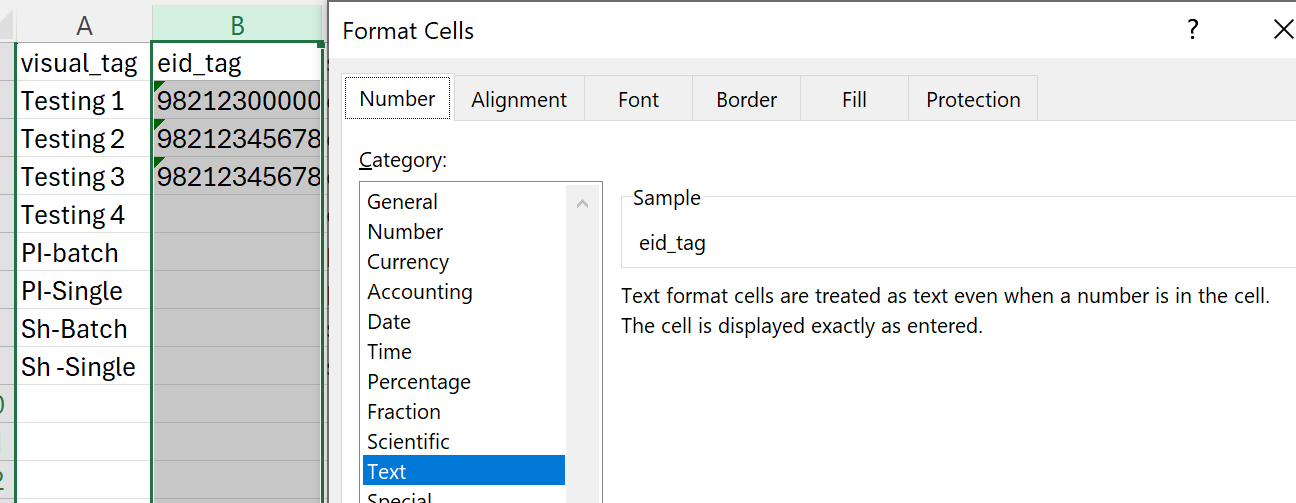 Excel Format Cells dialog with the eid_tag column selected and Text chosen in the Category list